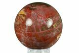 Colorful Petrified Wood (Araucaria) Sphere - Madagascar #286141-1